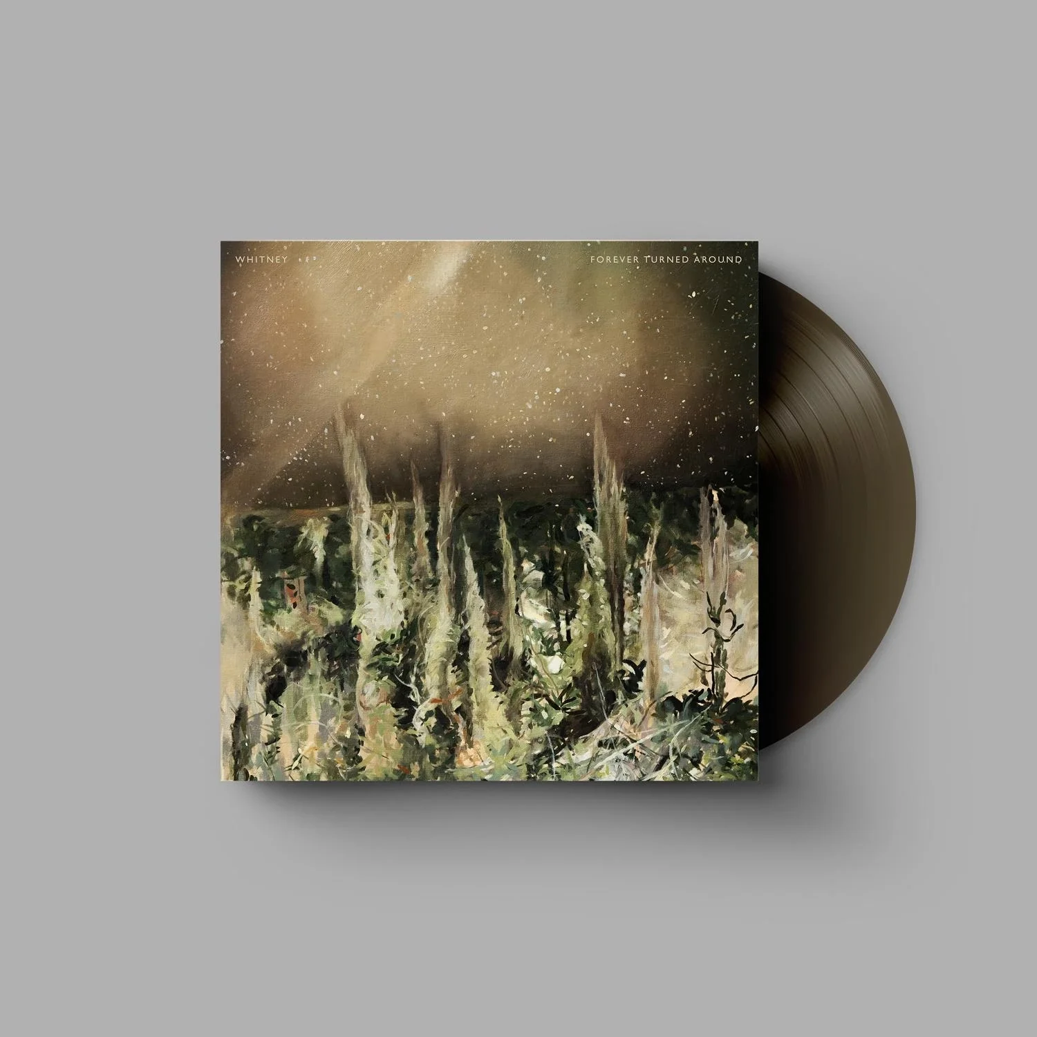 Forever Turned Around - Image 4