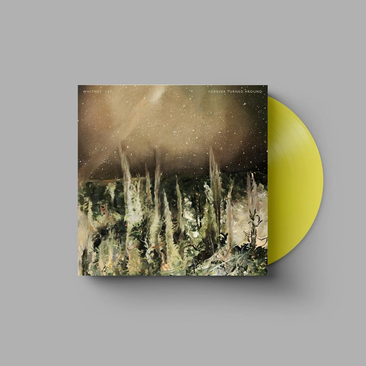 Forever Turned Around - Image 6