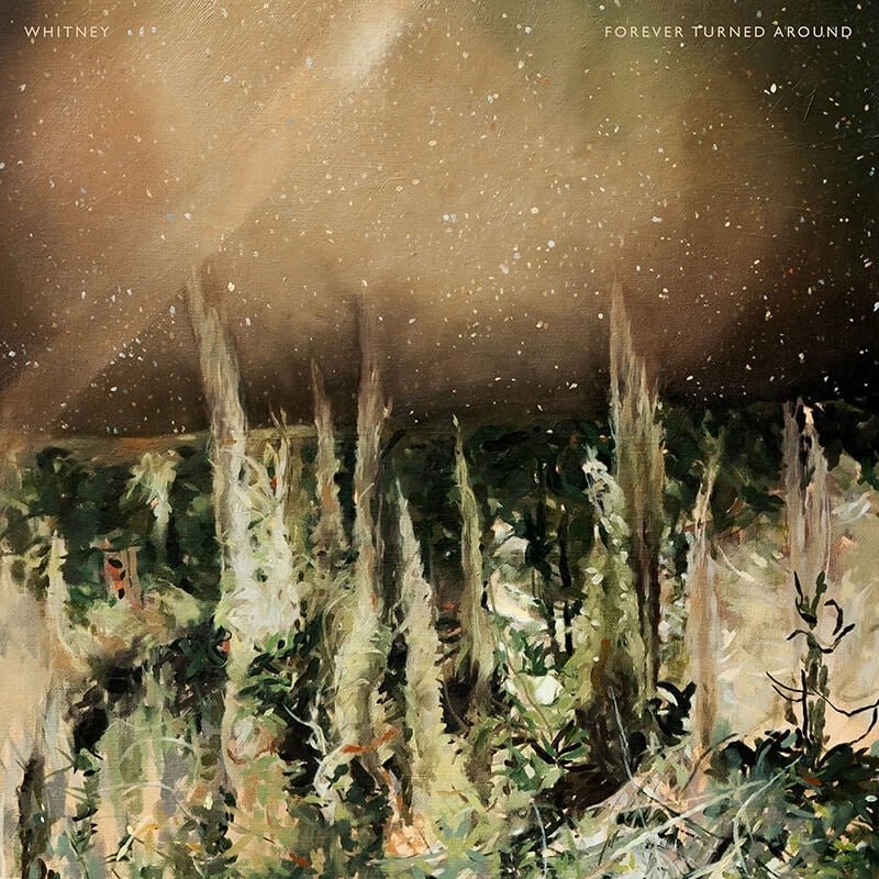 Forever Turned Around - Image 7