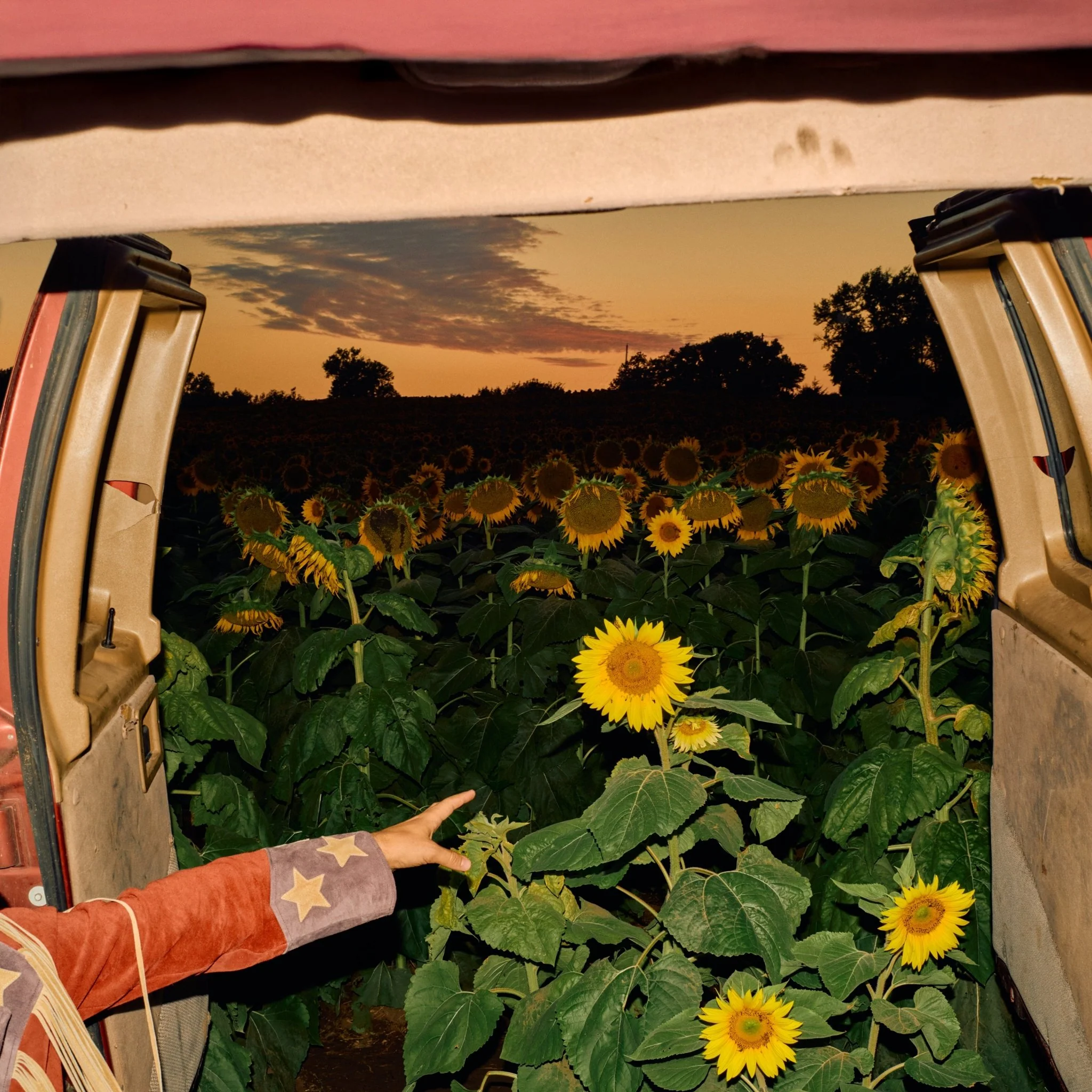 Little Wide Open - Image 4