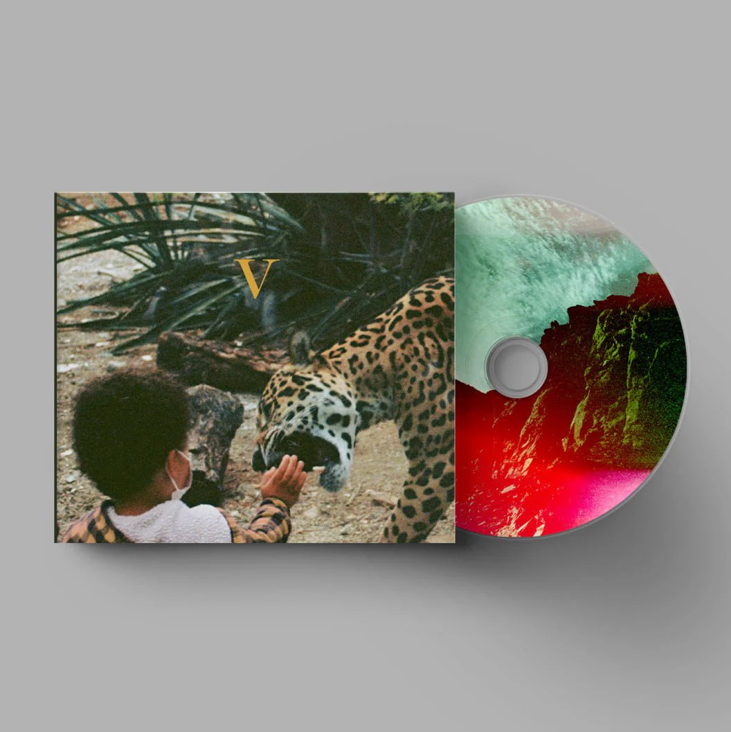 V - Image 3