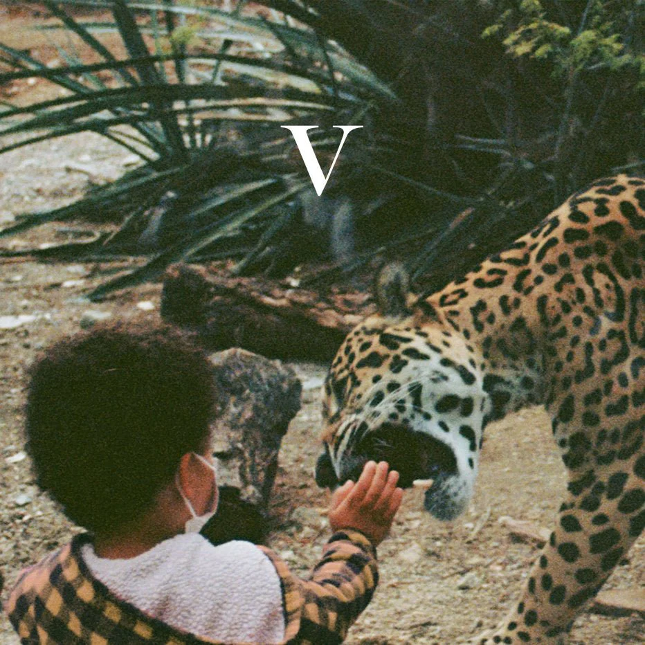 V Boxset - Image 4